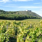Южная Моравия —  край виноградников, зеленых холмов и древних замков Чехии.